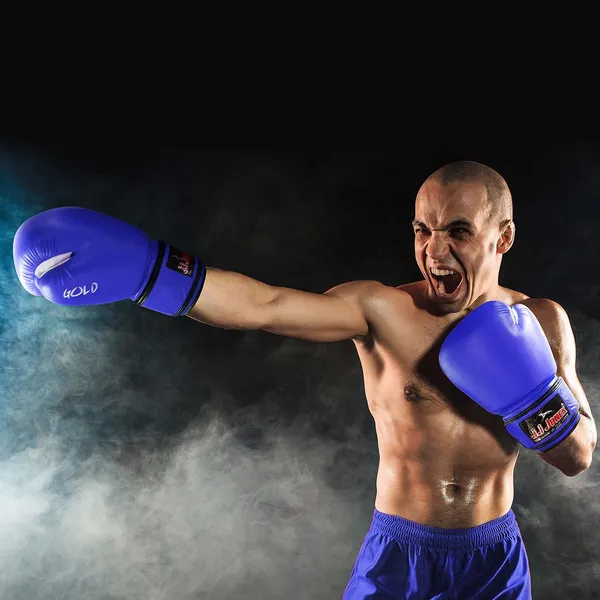 JJ_JONEX_Boxing_Gloves_Fight_BLUE