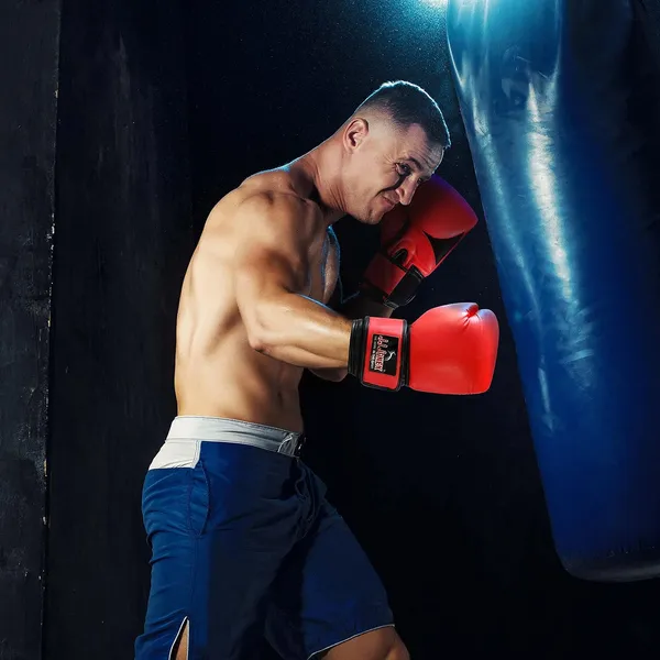 JJ_JONEX_Boxing_Gloves_Big_boss