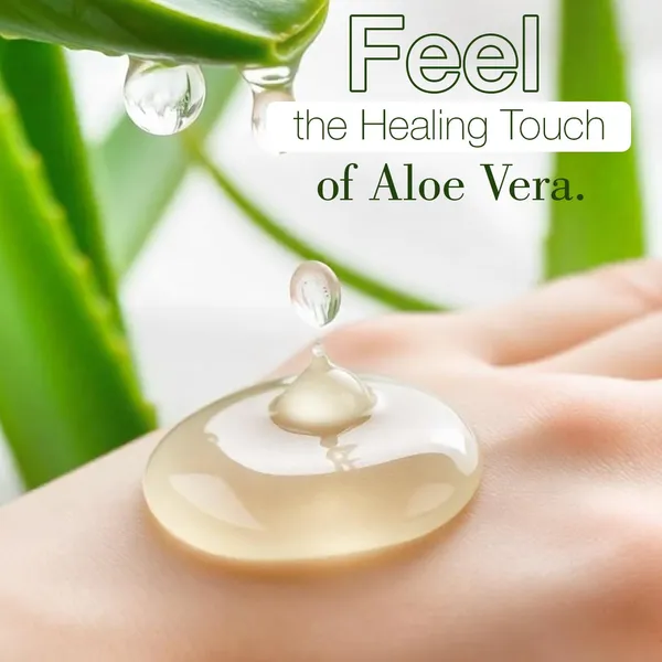 Pack_of_2_Multi-Purpose_Aloe_Vera_Gel_|_For_Face,_Skin_&_Hair_|_100g