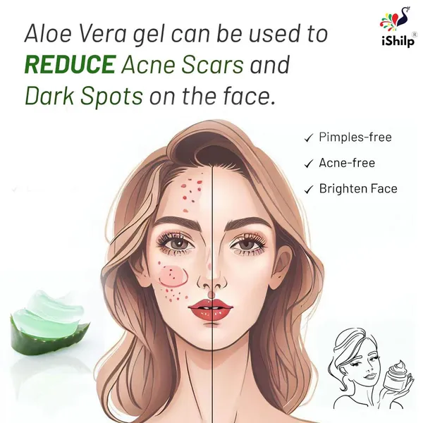 Pack_of_2_Multi-Purpose_Aloe_Vera_Gel_|_For_Face,_Skin_&_Hair_|_100g