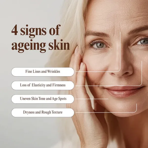 Anti-Aging_Cream_With_Bakuchiol_&_Gotu_Kola