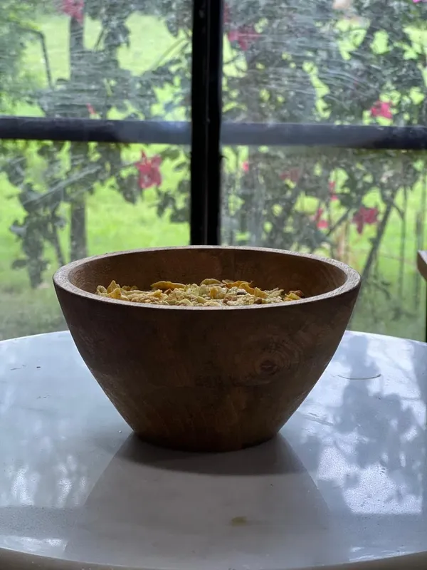 Pack_of_1_Brown_Premium_Quality_Wooden_Serving_Bowl