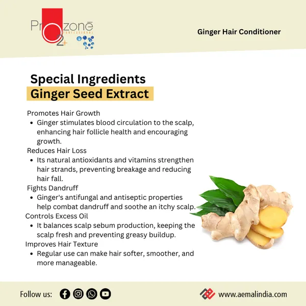 Hair_Conditioner_Ginger_5_Lts_–_Prozone_O2+_Professional