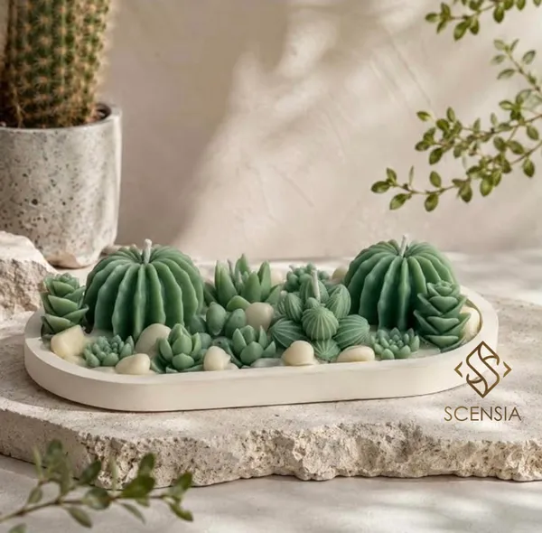 Cactus_Castle