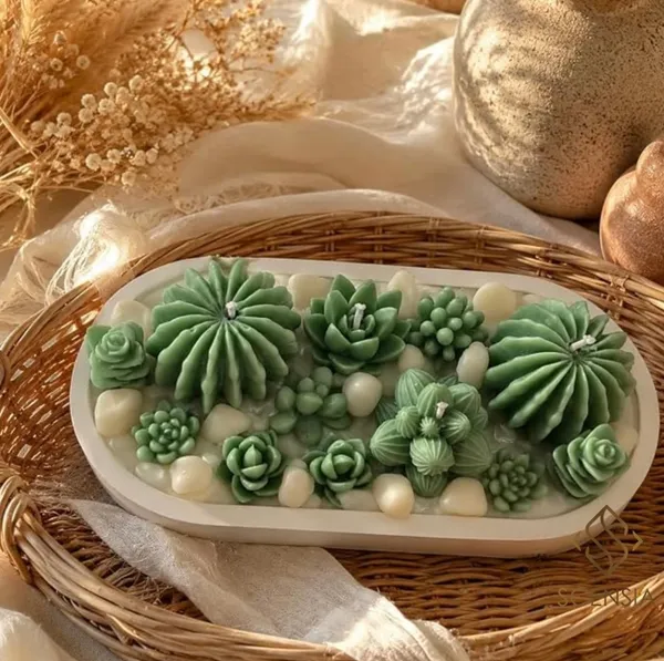 Cactus_Castle