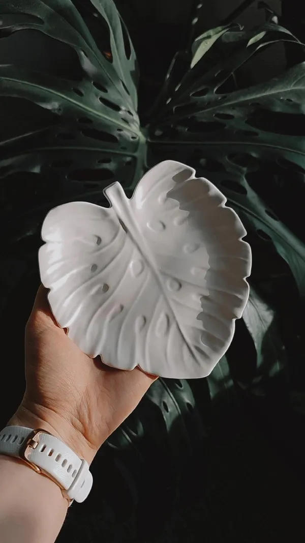 Monstera_Tray