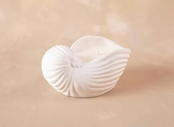 Shell_Shock