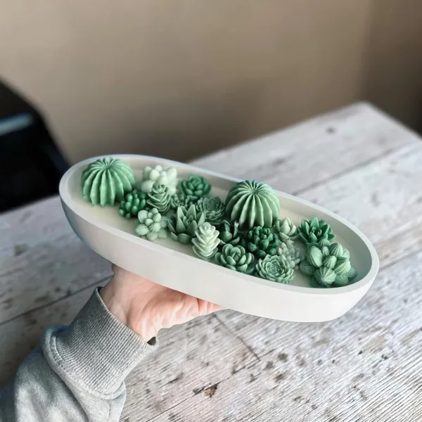 Succulent_Garden