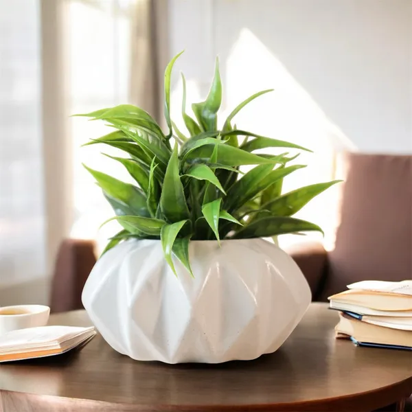 Sun_Planter_Vase_For_Home_Decor