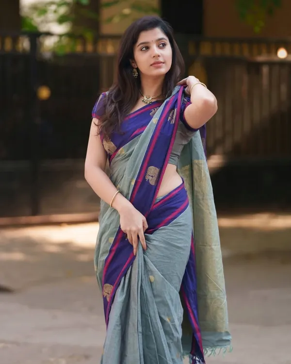 Engaging_Grey_Cotton_Silk_Saree_With_Stunning_Blouse_Piece