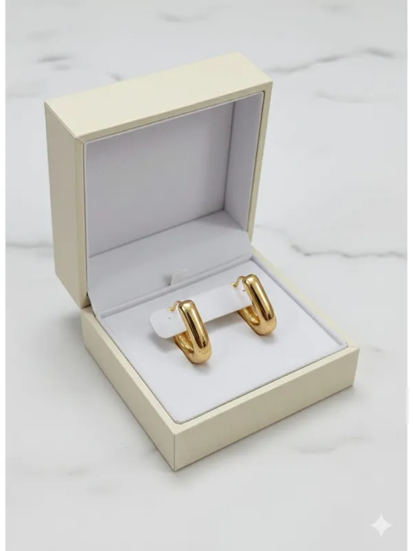 CRUSSTIQUE_GOLD_Classic_Gold_Hoop_Earrings_�_Minimal_Elegant_Design_for_Everyday_Wear