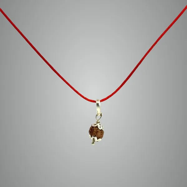 14_Mukhi_Indonesian_Rudraksha_Pendant