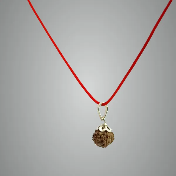 15_Mukhi_Indonesian_Rudraksha_Pendant