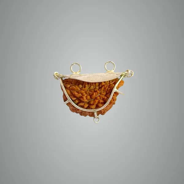 2_Mukhi_Indian_Kaju_Original_Rudraksha_Pendant