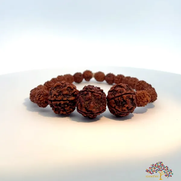 Premium_Narayan_Rudraksha_Bracelet