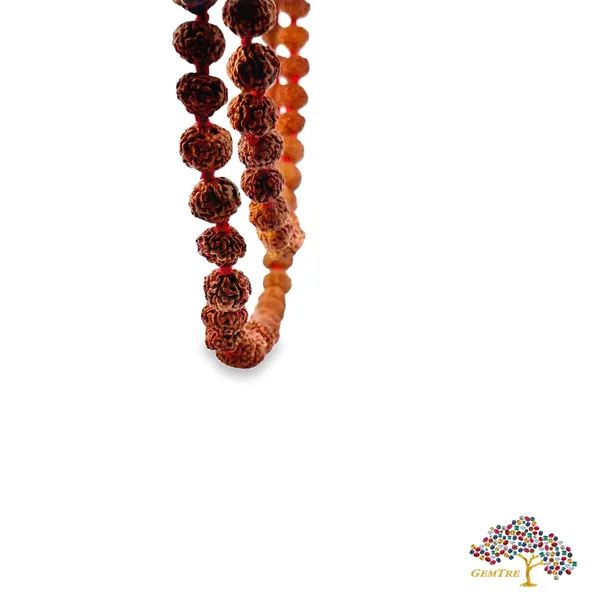 7_Mukhi_Rudraksha_Mala