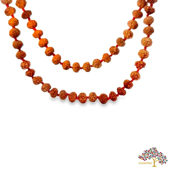 7_Mukhi_Rudraksha_Mala