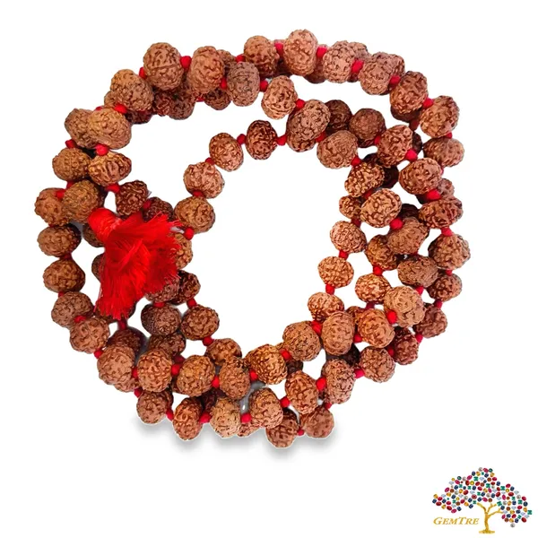 7_Mukhi_Rudraksha_Mala