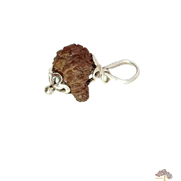 15_Mukhi_Indonesian_Rudraksha_Pendant