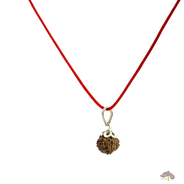15_Mukhi_Indonesian_Rudraksha_Pendant