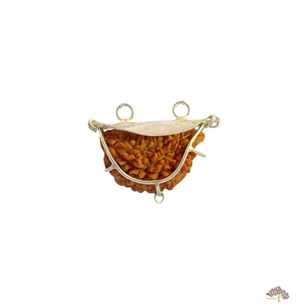 2_Mukhi_Indian_Kaju_Original_Rudraksha_Pendant