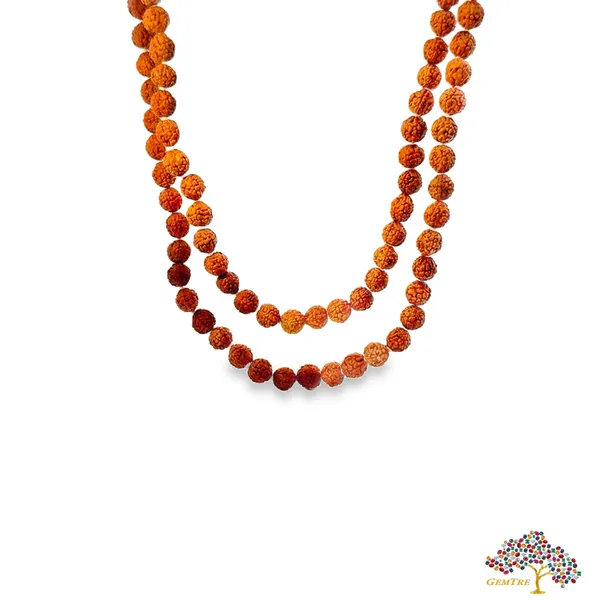 5_Mukhi_Rudraksha_Mala_6mm