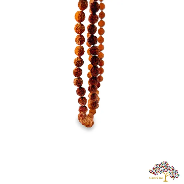 5_Mukhi_Rudraksha_Mala_6mm