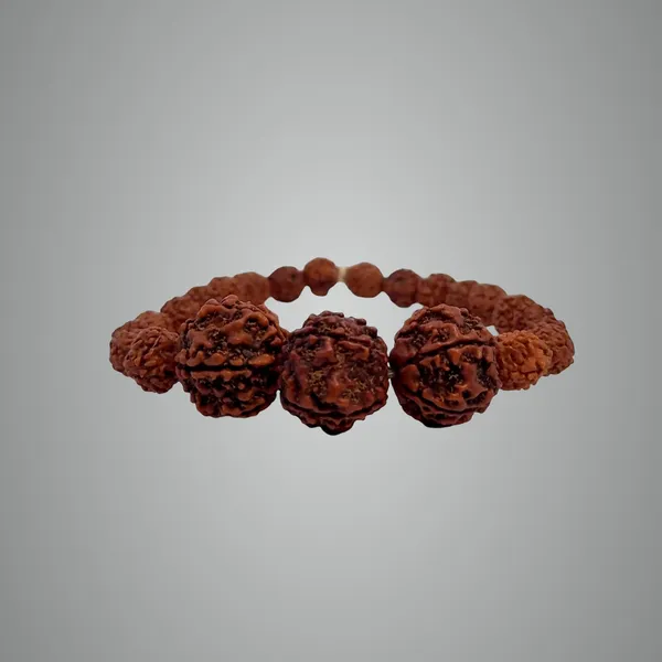 Premium_Narayan_Rudraksha_Bracelet