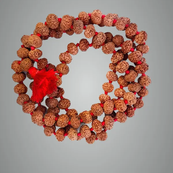 7_Mukhi_Rudraksha_Mala