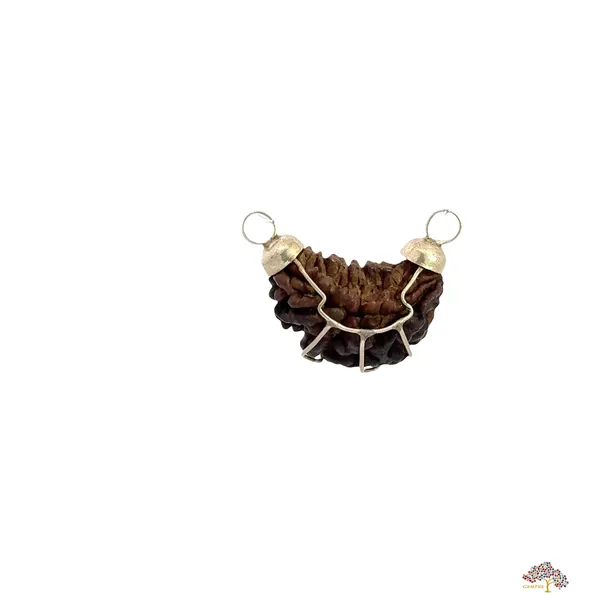 1_Mukhi_Indian_Kaju_Original_Rudraksha_Pendant