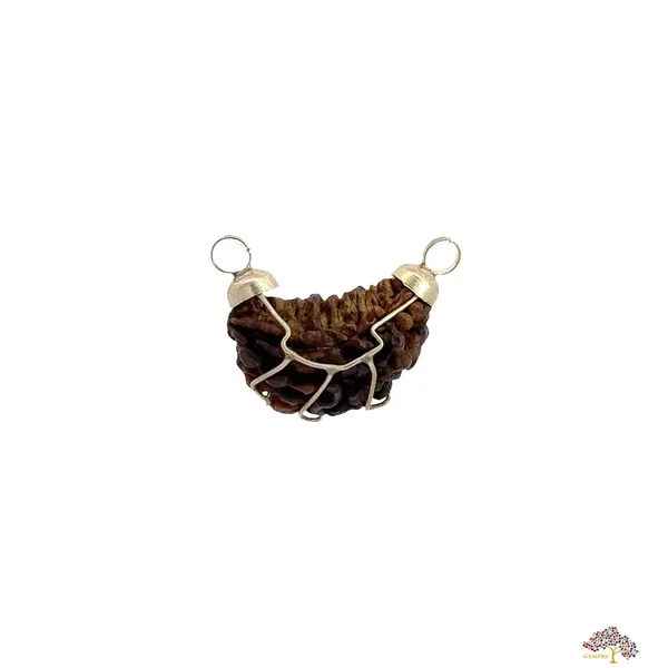 1_Mukhi_Indian_Kaju_Original_Rudraksha_Pendant