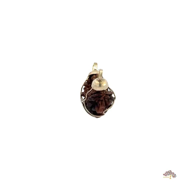 1_Mukhi_Indian_Kaju_Original_Rudraksha_Pendant