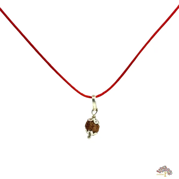 14_Mukhi_Indonesian_Rudraksha_Pendant