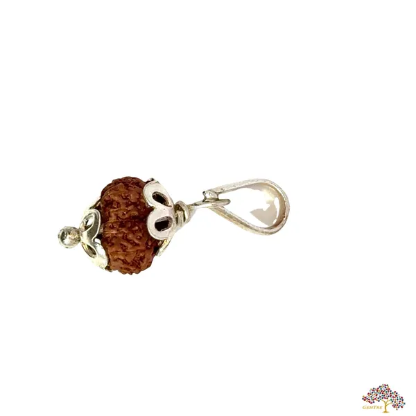 14_Mukhi_Indonesian_Rudraksha_Pendant