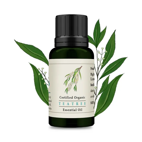 Tea-Tree_Essential_Oil