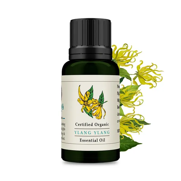 Ylang_Ylang_Essential_Oil