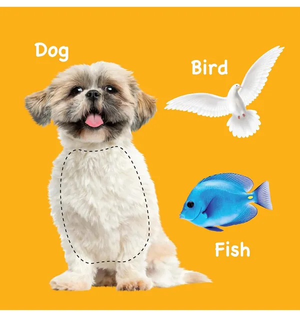 First_Word:_Touch_And_Feel_Board_Book_For_Kids_-_Sensory_Learning_For_Babies_|_Learn_First_Words_With_Textures_|_Boost_Basic_Vocabulary_For_Little_Scholars;_1-3_Years
