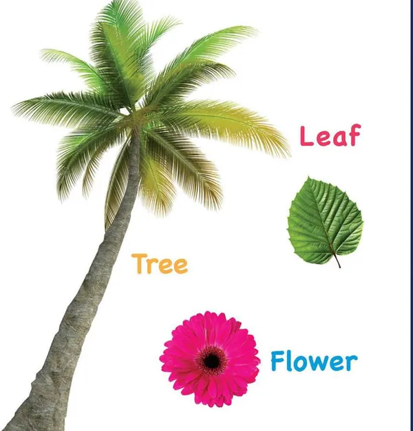 First_Word:_Touch_And_Feel_Board_Book_For_Kids_-_Sensory_Learning_For_Babies_|_Learn_First_Words_With_Textures_|_Boost_Basic_Vocabulary_For_Little_Scholars;_1-3_Years