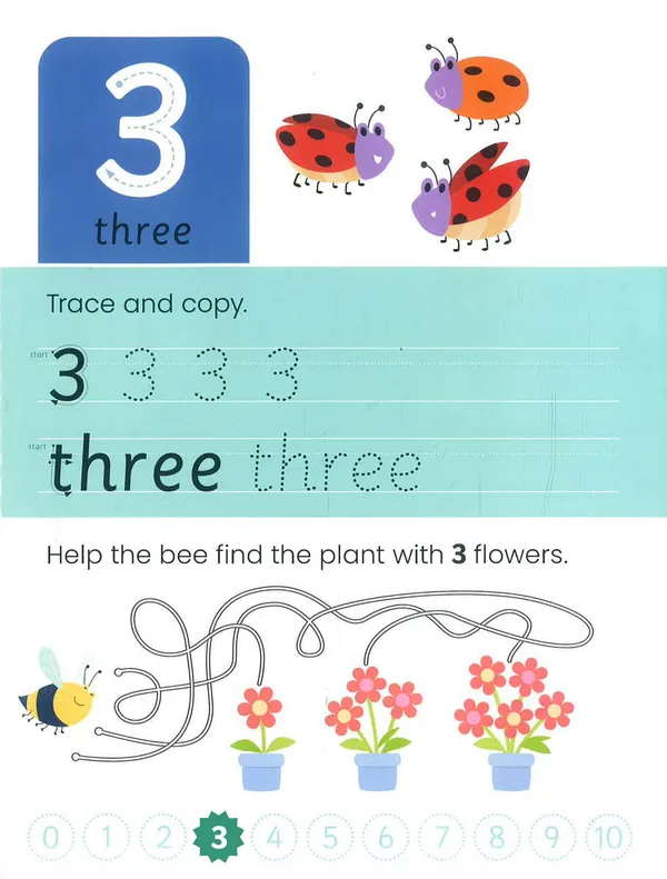 Junior_Explorers_Write_And_Wipe:_Counting_Book