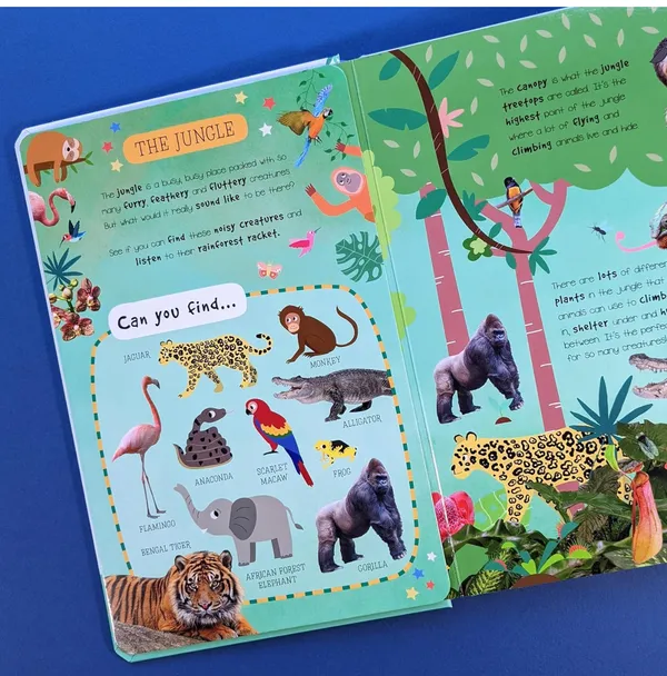 Look_&_Find_Sound_Book_-_Animals_-_For_Children_Aged_3+_(Little_Wonders_Look_&_Listen_50_Button_Sound_Book)