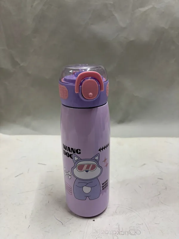 Stainless_Steel_Vacuum_Bottle_620Ml