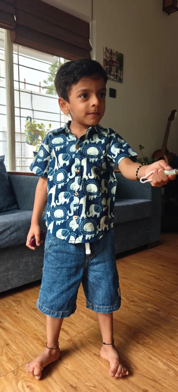 Roar_And_Stomp_Regular_Collar_Shirt_For_Boys_(Bottoms_not_included)
