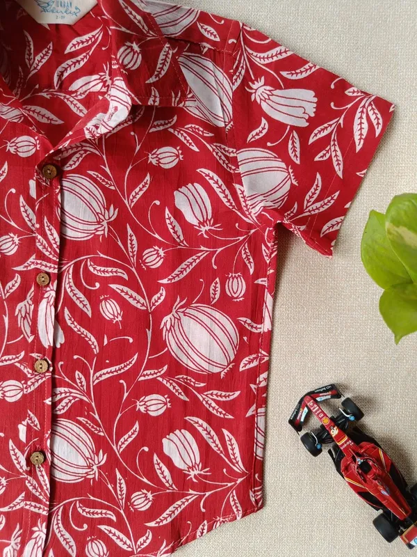 Crimson_Garden_Regular_Collar_Shirt_For_Boys_(Bottoms_not_included)