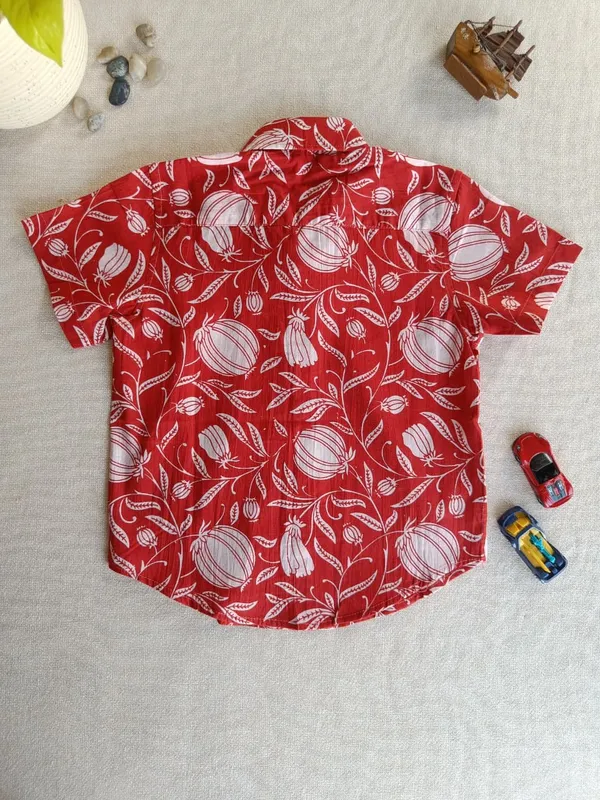 Crimson_Garden_Regular_Collar_Shirt_For_Boys_(Bottoms_not_included)