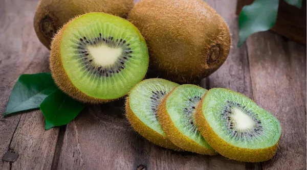 Kiwi_fruit_plant_original_Healthy_live_plant
