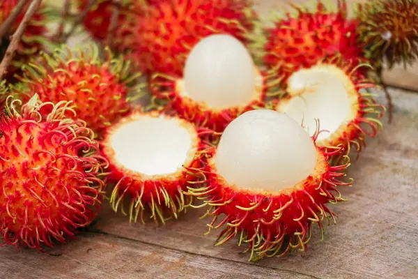 Red_Rambutan_Plant_-_Grafted_&_Perennial