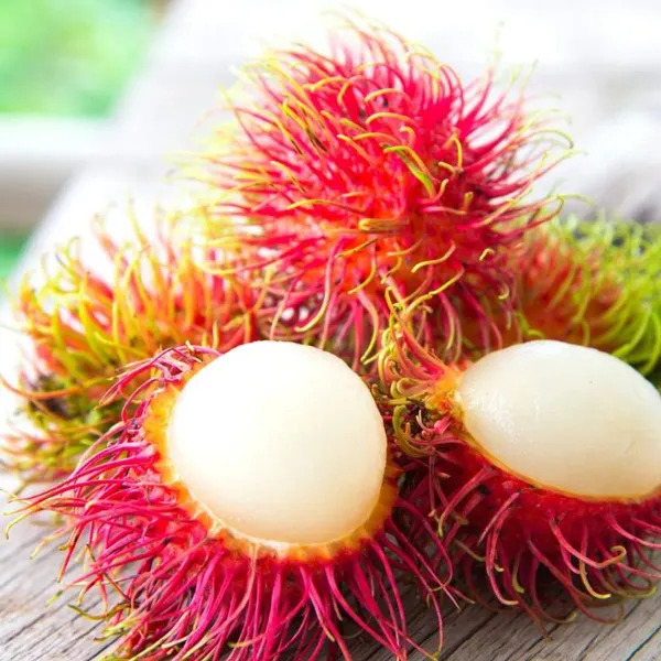 Red_Rambutan_Plant_-_Grafted_&_Perennial