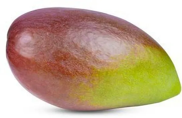 RED-GREEN_MANGO_PLANT-38