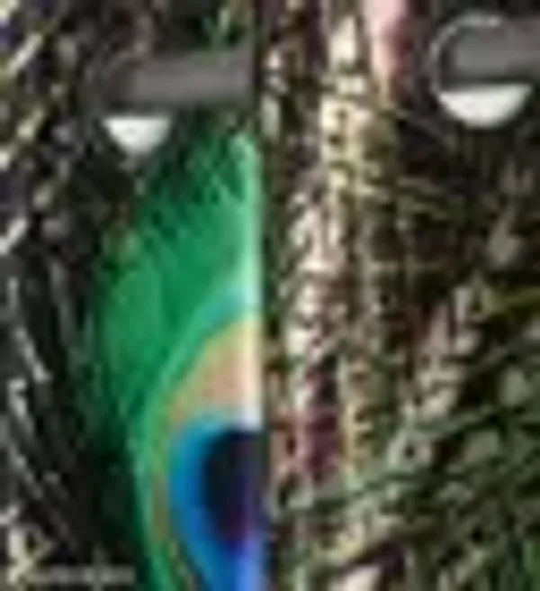 Multicolor_Polycotton_3D_Digital_Print_Door_Curtain