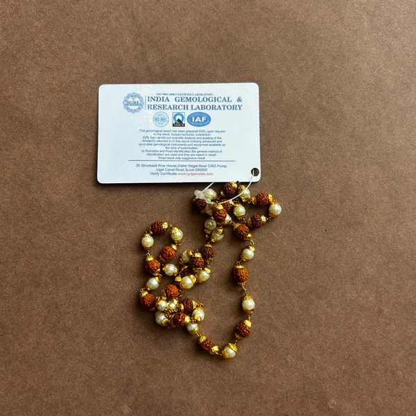 Brown_Rudraksha_Beads_Orignal_Mala_(108_Bead)